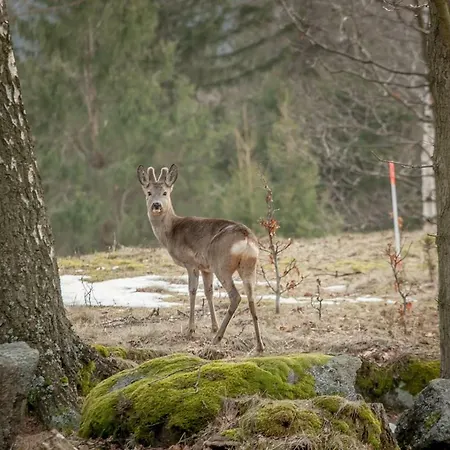 Siodme Niebo Alloggio in famiglia Szklarska Poręba