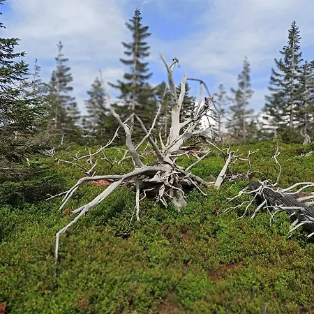 Habitación en casa particular Siódme Niebo *