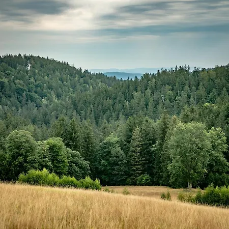 Siódme Niebo
