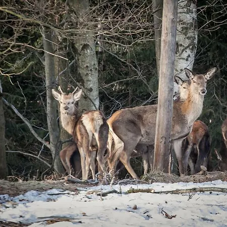 Siódme Niebo Habitación en casa particular *